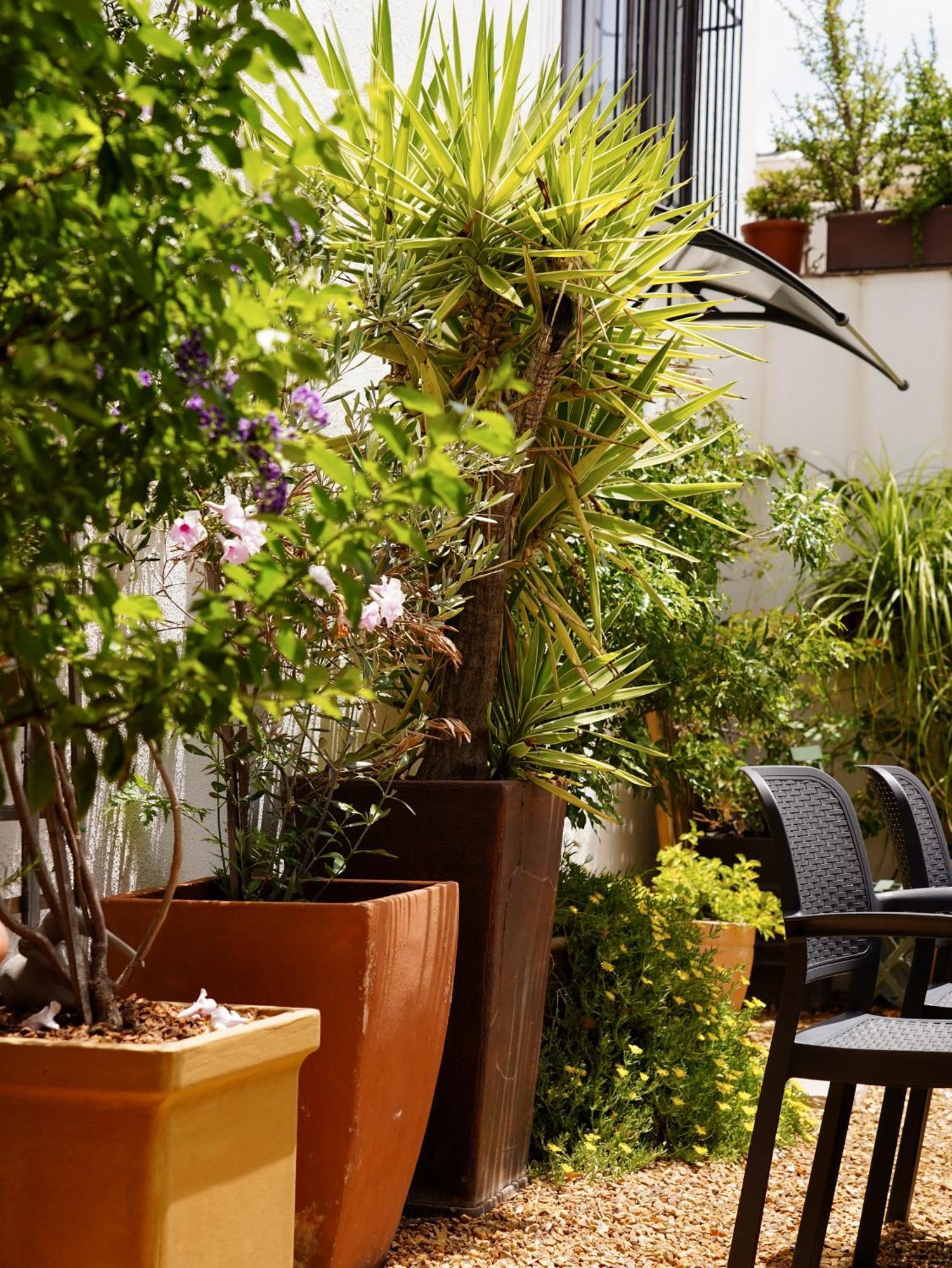 קייפטאון Belmont Guest House מראה חיצוני תמונה